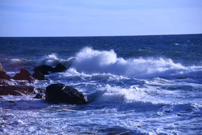 DSC_0579 (Large).JPG